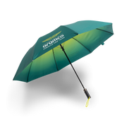 Aston Martin F1 Umbrella Unisex - Green